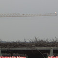 17_10-mast.jpg