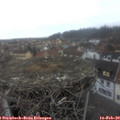 17_15-nest.jpg