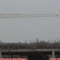 17_20-mast.jpg