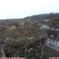 17_20-nest.jpg