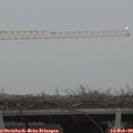 17_25-mast.jpg