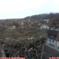 17_25-nest.jpg