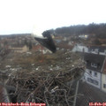 07_40-nest.jpg