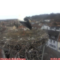 07_55-nest.jpg