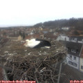 08_00-nest.jpg