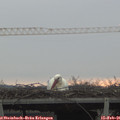 08_25-mast.jpg