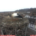 08_25-nest.jpg