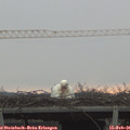08_30-mast.jpg