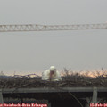 08_35-mast.jpg