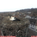 08_40-nest.jpg