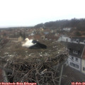 09_00-nest.jpg