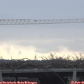 09_55-mast.jpg