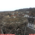 10_05-nest.jpg