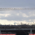 10_20-mast.jpg