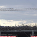 10_30-mast.jpg