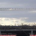 10_40-mast.jpg