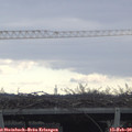 10_50-mast.jpg