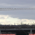 10_55-mast.jpg
