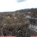 11_00-nest.jpg
