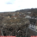 11_05-nest.jpg