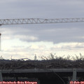 11_10-mast.jpg