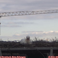 11_45-mast.jpg