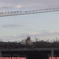 11_55-mast.jpg