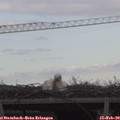 12_00-mast.jpg