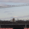 12_05-mast.jpg