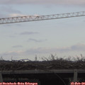 12_10-mast.jpg