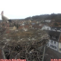 12_10-nest.jpg