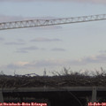 12_15-mast.jpg