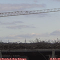 12_20-mast.jpg