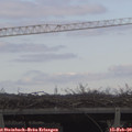 12_25-mast.jpg
