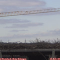 12_30-mast.jpg