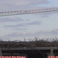 12_35-mast.jpg