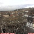 12_35-nest.jpg