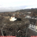 12_40-nest.jpg
