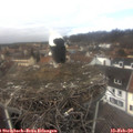12_50-nest.jpg