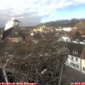 12_55-nest.jpg