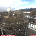 13_00-nest.jpg