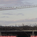13_05-mast.jpg