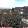 13_05-nest.jpg