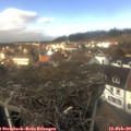 13_15-nest.jpg
