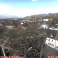 13_20-nest.jpg