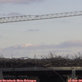 13_25-mast.jpg