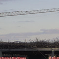 13_30-mast.jpg