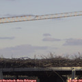 13_45-mast.jpg