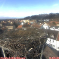 13_45-nest.jpg