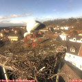 13_55-nest.jpg